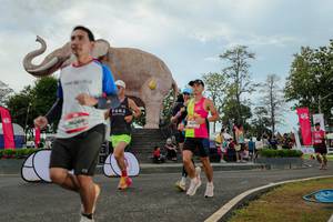 BIB: 
                            <button type="button" onclick="openModal(26528865)" class="btn btn-primary btn-sm float-right btn-popup" data-toggle="modal" data-target=".modal-high-quality">
                        <i class="fas fa-shopping-cart"></i> Add to Cart
                    </button>
                                            <button type="button" onclick="isThisMe(26528865, true)" class="btn btn-success btn-sm float-right btn-popup btn-isme hidden" data-toggle="tooltip" data-placement="bottom" title="นี่คือรูปของคุณใช่ไหม คลิกที่นี่เพื่อเอาเข้าอัลบั้ม">
                        <i class="fas fa-plus"></i> Add to album
                    </button>
                    <button type="button" onclick="isThisMe(26528865, false)" class="btn btn-warning btn-sm float-right btn-popup btn-isnotme hidden">
                        <i class="fas fa-ban"></i> Remove from album
                    </button>